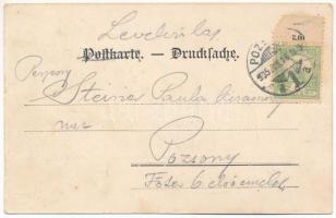 1905 Pozsony, Pressburg, Bratislava; Gruss aus Franz Kristofek's Restauration "zur schönen...