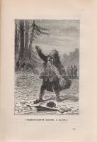 Verne, [Jules] Gyula:
A bundák hazája. Regény. Második, egyedül jogosított magyar képes kiadás. For...