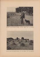 (Ilford kézikönyv.) Amatőr fényképezők tankönyve és lexikona kezdőknek és haladóknak. Szerkesztette:...