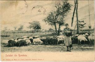 1900 Salutari din Romania / Romanian folklore (wet damage)
