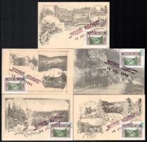 1995/E1a Erdélyi kiadású Hohe Rinne centenárium 5 klf Carte Maximum emlékívből származó bélyegekkel / souvenir sheet collection of 5 on CM