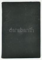 Régi bőr írómappa, levéltartó. kemény betéttel, kopásokkal 30x42 cm