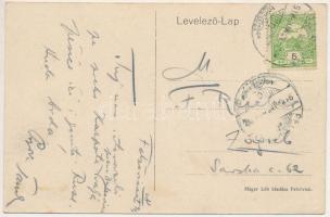 1915 Felsővisó, Viseu de Sus (Máramaros); Papp Simon-féle fűrészüzeme és a villanytelep. Háger Léb k...