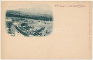 1903 Tömös-völgy, Tömöschtal (Brassó, Brasov); vasútvonal, hajtány. H. Zeidner kiadása / railway line with handcar (EK)