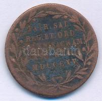 Luxemburg 1815. "Vilmos főherceg beiktatása" Cu emlékérem (23mm) T:F patina
Luxembourg 18...