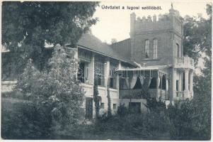 Lugos, Lugoj; Szőlő és kastély. Naschitz László kiadása / vineyard castle (fl)