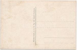 Lugos, Lugoj; Szőlő és kastély. Naschitz László kiadása / vineyard castle (fl)