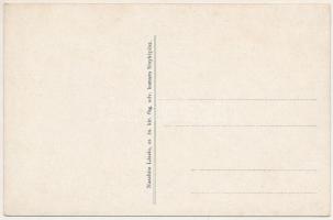 Lugos, Lugoj; Szőlő és kastély. Naschitz László kiadása / vineyard castle