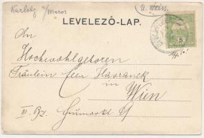 Gyulafehérvár, Karlsburg, Alba Iulia; Tüzér laktanya. Petri F. Vilmos kiadása / Artillerie Kaserne /...