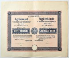 Budapest 1908. Nagykikinda-aradi helyi érdekű vasut részvénytársaság 10db törzsrészvénye egyben, összesen 2000K-ról, szelvényekkel, szárazbélyegzéssel T:XF / Hungary 1908. Nagykikinda-Arad Local Interest Railway Share Company 10pcs of common stocks in one, all about 2000 Korona, with embossed stamp and coupons C:XF