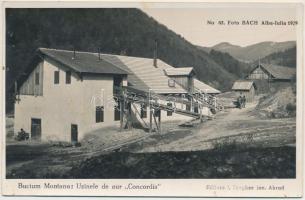 Verespatak, Rosia Montana; Bucium Montana, Uzinele de aur "Concordia" / aranybánya / gold mine. Foto Bach (Alba Iulia) 1929. No. 82. photo (Rb)