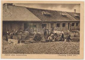 Meggyesfalva, Mureseni; Hullott alma konzerválása. Erdélyrészi Hangya Szövetkezet kiadása, Ferenczy László felvétele / conservation of the fallen apples (EK)