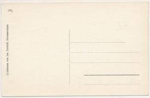 1913 Segesvár, Schässburg, Sighisoara; Der erste Siebenbürgisch-sächsische Flieger Albert Ziegler sw...