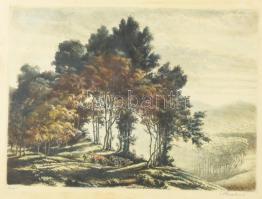 Paulovits Pál (1892-1975): Erdő. Színezett rézkarc, papír, jelzett. Kissé foltos. 29x40 cm. Dekoratív, kissé sérült, üvegezett fakeretben.