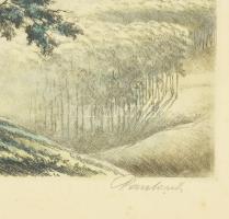 Paulovits Pál (1892-1975): Erdő. Színezett rézkarc, papír, jelzett. Kissé foltos. 29x40 cm. Dekoratí...