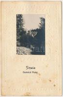 1951 Sinaia, Castelul Peles / castle. photo (fl)