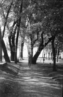 cca 1960 és 1975 között készült privát felvételek Balatonlellén (csónakázás, fürdés, ellenfényes akt...