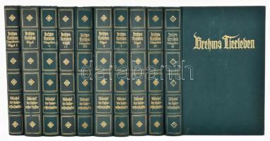 Dr. Adolf Meyer: Brehms Tierleben. 10 kötet. Wien, (cca 1880-1890), Gutenberg-Verlag. Fekete-fehér és színes képekkel illusztrálva. Német nyelven. Kiadói aranyozott egészvászon sorozatkötés, változó, túlnyomórészt jó állapotban.