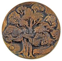 Paál István (1935-2010) 1989. "Bábolna 1789-1989 / Ültetve 1710" kétoldalas bronz emlékére...