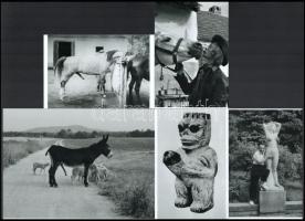 "Tavaszi nagy gerjedelem", összeállítás eltérő időben készült felvételekből, 5 db modern nagyítás, jelzés nélkül, 21x15 cm és 10x15 cm