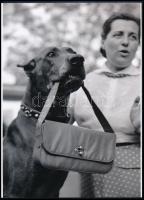 cca 1966 Kotnyek Antal (1921-1990) budapesti fotóriporter hagyatékából 1 db modern nagyítás (Biztonsági őr), jelzés nélkül, 21x15 cm