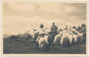 Szebeni-havasok, Muntii Cibinului (Cindrel), Zibinsgebirge; Turma de oi / Weidende Schafherde / juhnyáj / sheep flock. Foto orig. J. Fischer 1002. 1937 (fl)