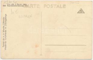 Szebeni-havasok, Muntii Cibinului (Cindrel), Zibinsgebirge; Turma de oi / Weidende Schafherde / juhn...