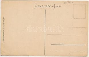 Szelistye, Salistea Sibiului, Saliste; Casa Nationala. Edit. Dumitru B. Comsa / Nemzeti ház / Nation...