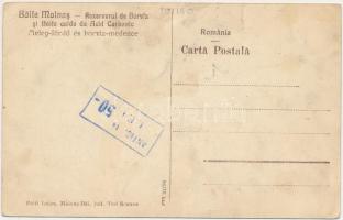 Málnásfürdő, Baile Malnas; Rezervorul de Borviz si baile calde de acid carbonic / meleg szénsavas fü...