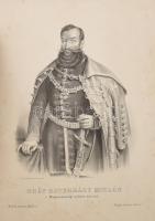 Császár Ferencz. Magyar ösök képcsarnoka. Életirati vázlatok kíséretében. III.-ik füz. Pest, 1858. N...