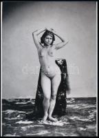 cca 1865 Ermé Désiré (1830-?) francia fotográfus felvétele ,,Egyiptomi szépség", 1 db modern nagyítás, jelzés nélkül, 21x15 cm