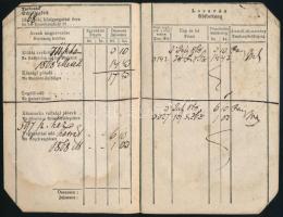 1868-1874 Görög egyház 2 db községi adókönyecskéje, egyikben számos, másikban néhány bejegyzéssel. P...