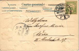 1903 Pozsony, Pressburg, Bratislava; Schloss / vár. Bediene dich allein, szecessziós dombornyomott v...