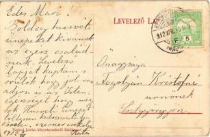 1912 Kézdivásárhely, Targu Secuiesc; Gábor Áron utca és Báthori út részlet, Győrfi Sándor hússzéke, ...