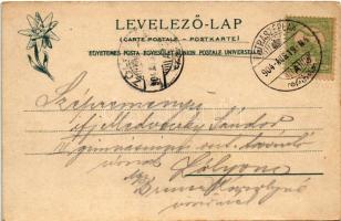 1904 Tátra, Magas-Tátra, Vysoké Tatry; Az Öt-tó legnagyobbika a Kis-Tarpatakai völgyben a Jégvölgyi ...