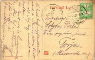 1911 Barót, Baraolt; Római katolikus templom belseje. Dániel Ferenc kiadása / Roman Catholic church ...