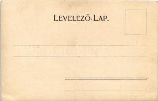 Nagyszeben, Hermannstadt, Sibiu; Schewisgasse. Verlag von Joh. Gürtler / utca / street