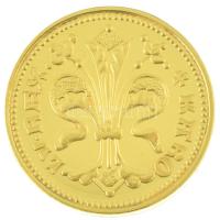 DN "Magyarok Kincstára - Károly Róbert arany forint" aranyozott rézötvözet utánveret kapsz...
