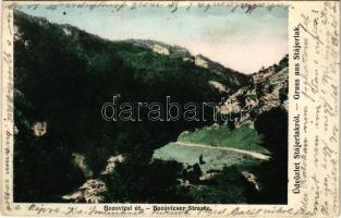 1905 Stájerlak, Steierlak, Stájerlakanina, Steierdorf, Anina; Bozovicsi út. Hollschütz F. kiadása / Bozovicser Strasse / Bozovici road