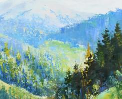 Olvashatatlan jelzéssel: Havas hegyvidék (Erdély v. Kárpátalja?), 1999. Olaj, vászon. Dekoratív fake...