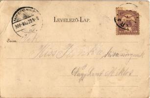 1900 Arad, Tizenhárom Vértanú vesztőhelye / martyrs' monument (EB)