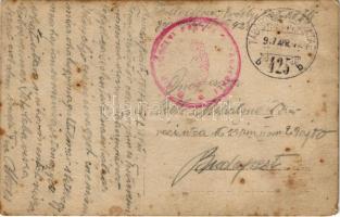 1917 Úzvölgye, Valea Uzului (Hargita); Első világháborús katonai hősök temetője / K.u.k. Militärheld...