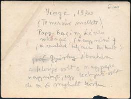 1920 Vingai részlet (Temesvár és Arad között), hátoldalán feliratozott és datált, jelzés nélküli fot...