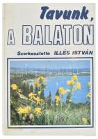 Tavunk, a Balaton. Szerk.: Illés István. Bp.,1981, Natura. Fekete-fehér és színes képekkel illusztrálva. Kiadói kartonált papírkötés, volt könyvtári példány, kopott borítóval, javított gerinccel.