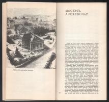 Lipták Gábor: Jókai Balatonfüreden. Veszprém, 1973, Veszprém M. Múzeumok Igazgatósága. Benne újságci...