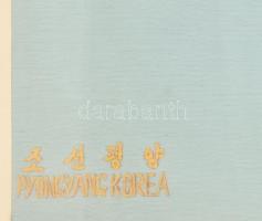 Olvashatatlan jelzéssel, feltehetően koreai alkotó, XX. sz. második fele: Tigris. Selyemkép. Dekorat...