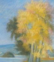 Peukert Károly (1903-1973): Vízparti táj (Duna?). Pasztell, papír, jelezve jobbra lent. Üvegezett, d...