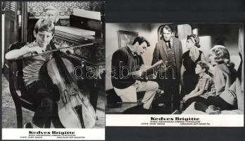 cca 1965 ,,Kedves Brigitte" című amerikai filmvígjáték jelenetei és szereplői, 4 db vintage pro...