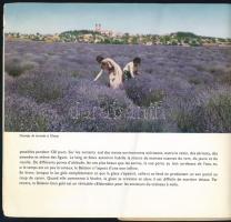 cca 1970 Balaton. Színes képekkel illusztrált, francia nyelvű turisztikai prospektus, 14 sztl. lev