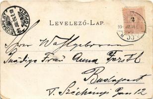 1899 (Vorläufer) Budapest XII. Zugliget, Disznófő forrás és vendéglő, étterem kertje. Divald Károly ...